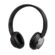 F&D HW110 Wireless Bluetooth Headphone